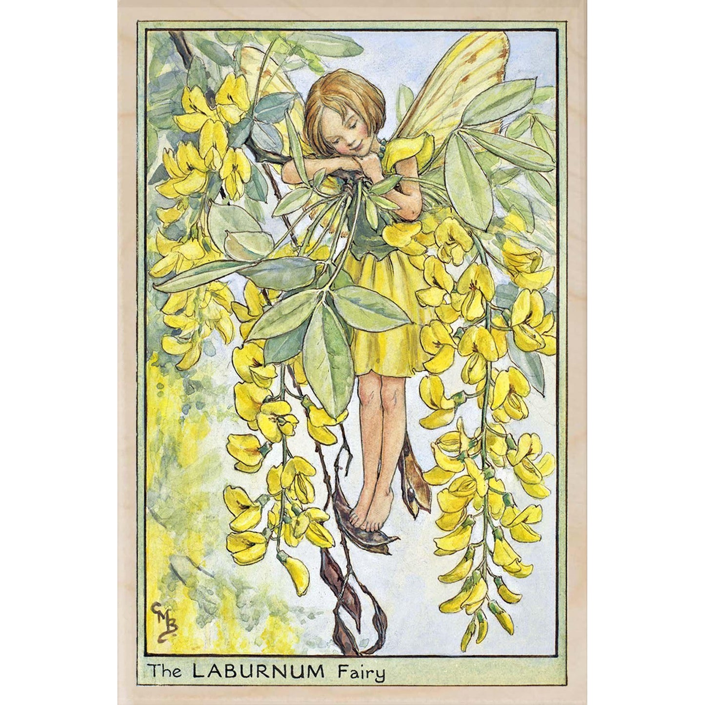 LABURNUM FAIRY