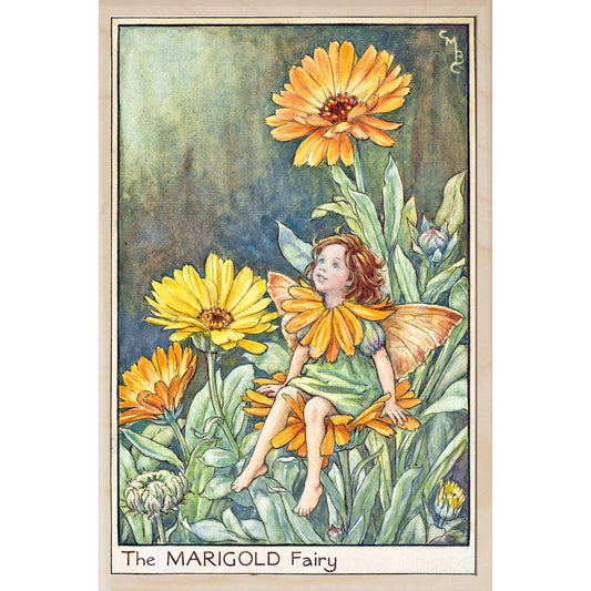 MARIGOLD FAIRY