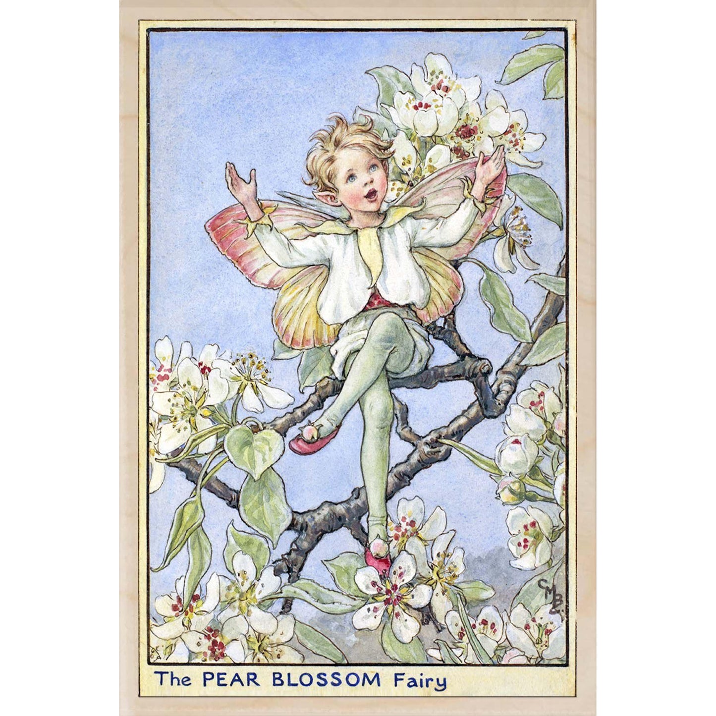 PEAR BLOSSOM FAIRY