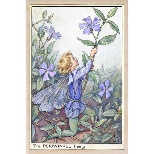 PERIWINKLE FAIRY