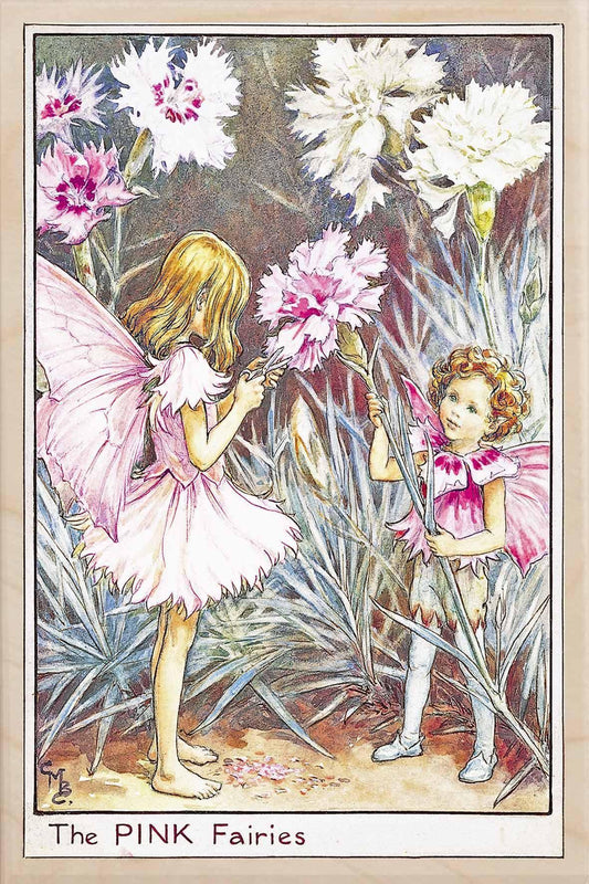 PINK FAIRY