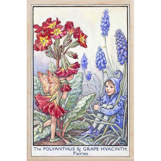 POLYANTHUS FAIRY AND HYACINTH FAIRY