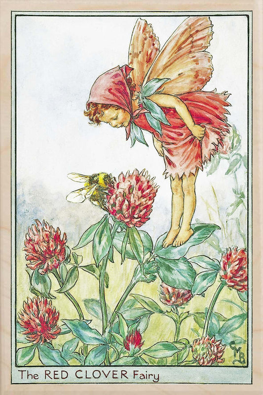 RED CLOVER FAIRY