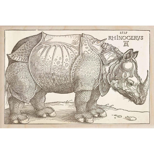 DÜRER, RHINOCEROS