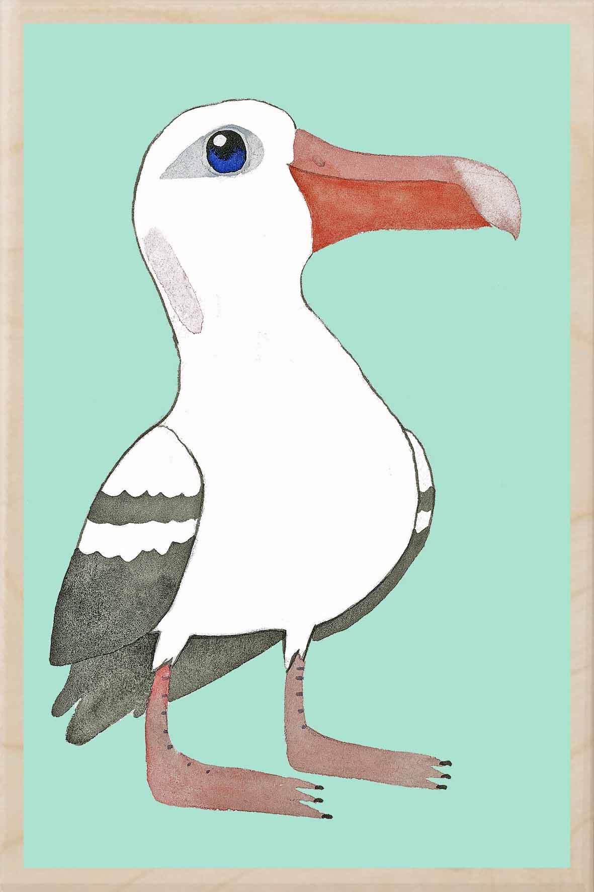 ALBATROSS