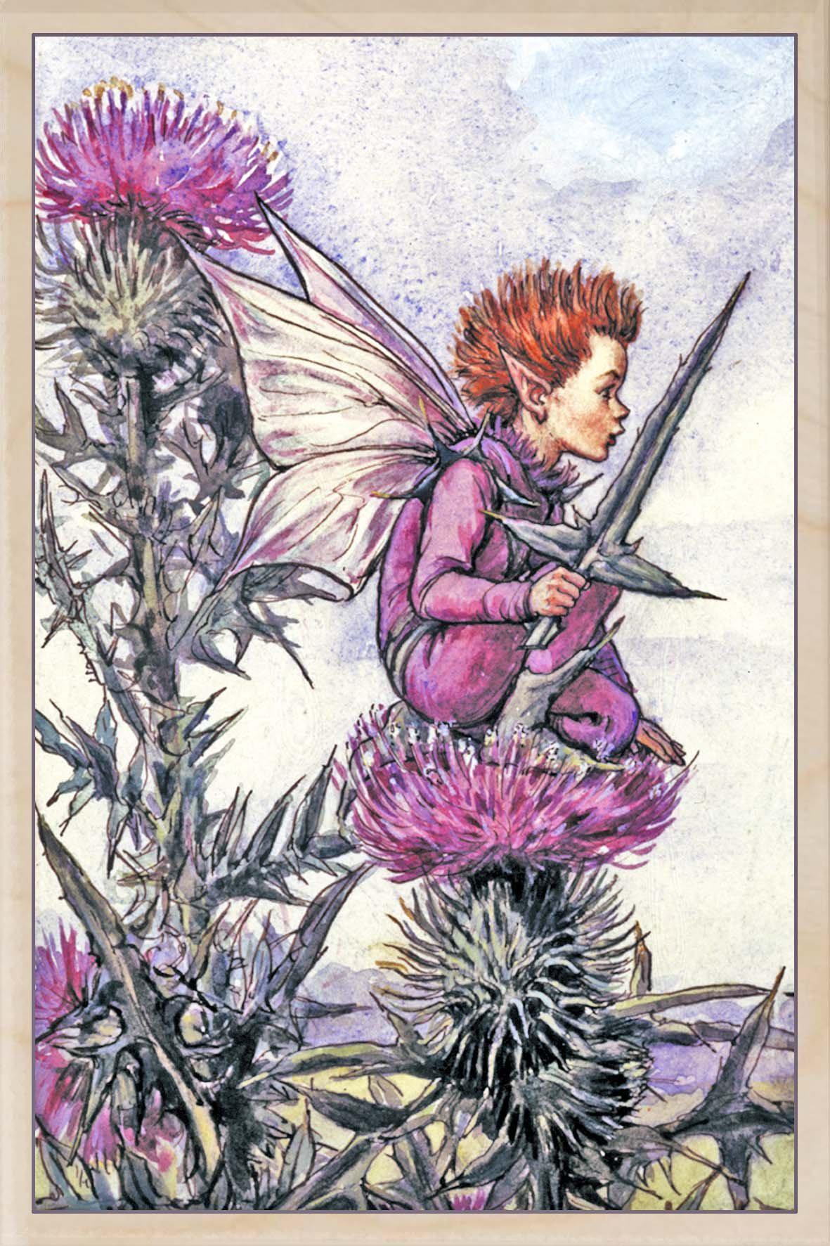 THISTLE FAIRY