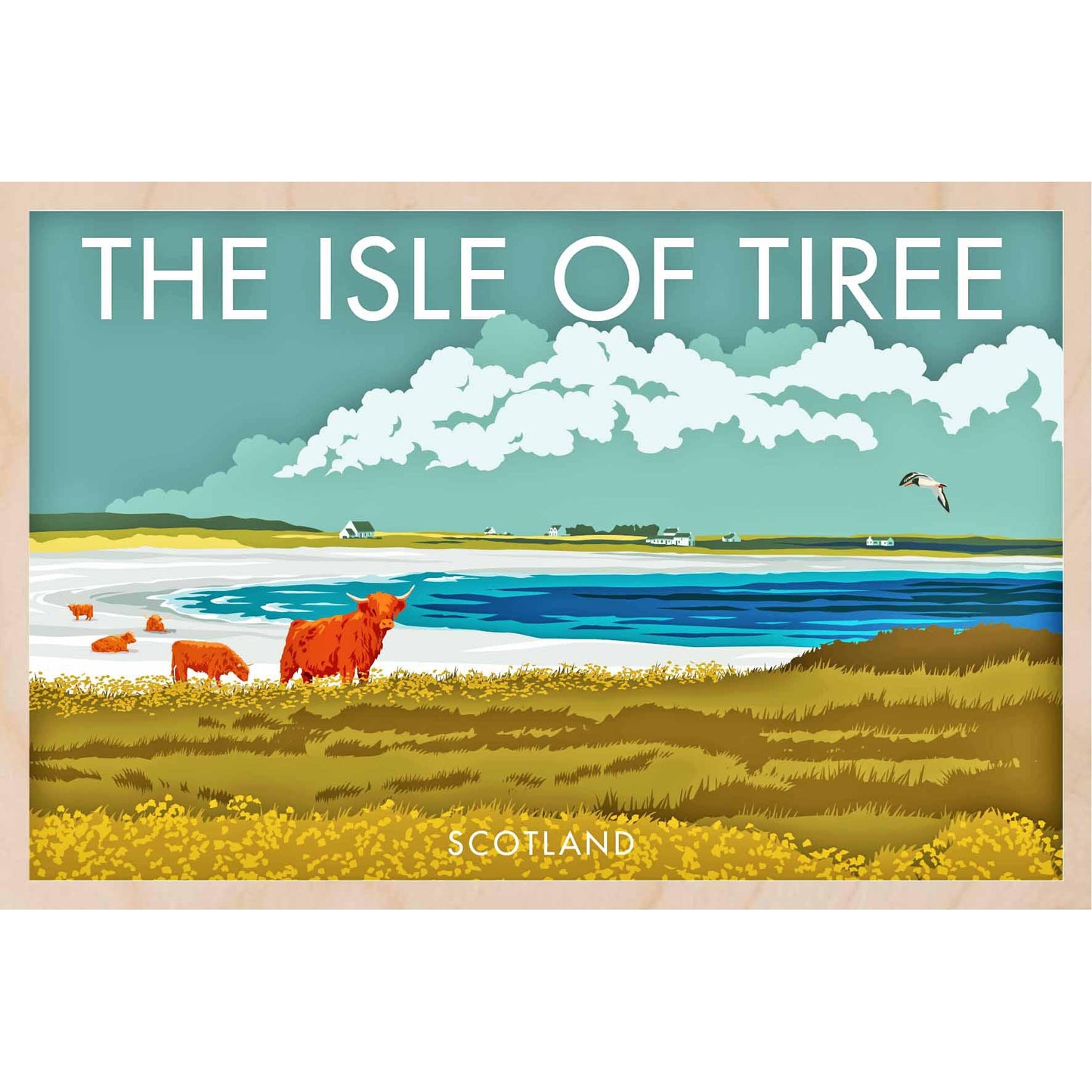 ISLE OF TIREE