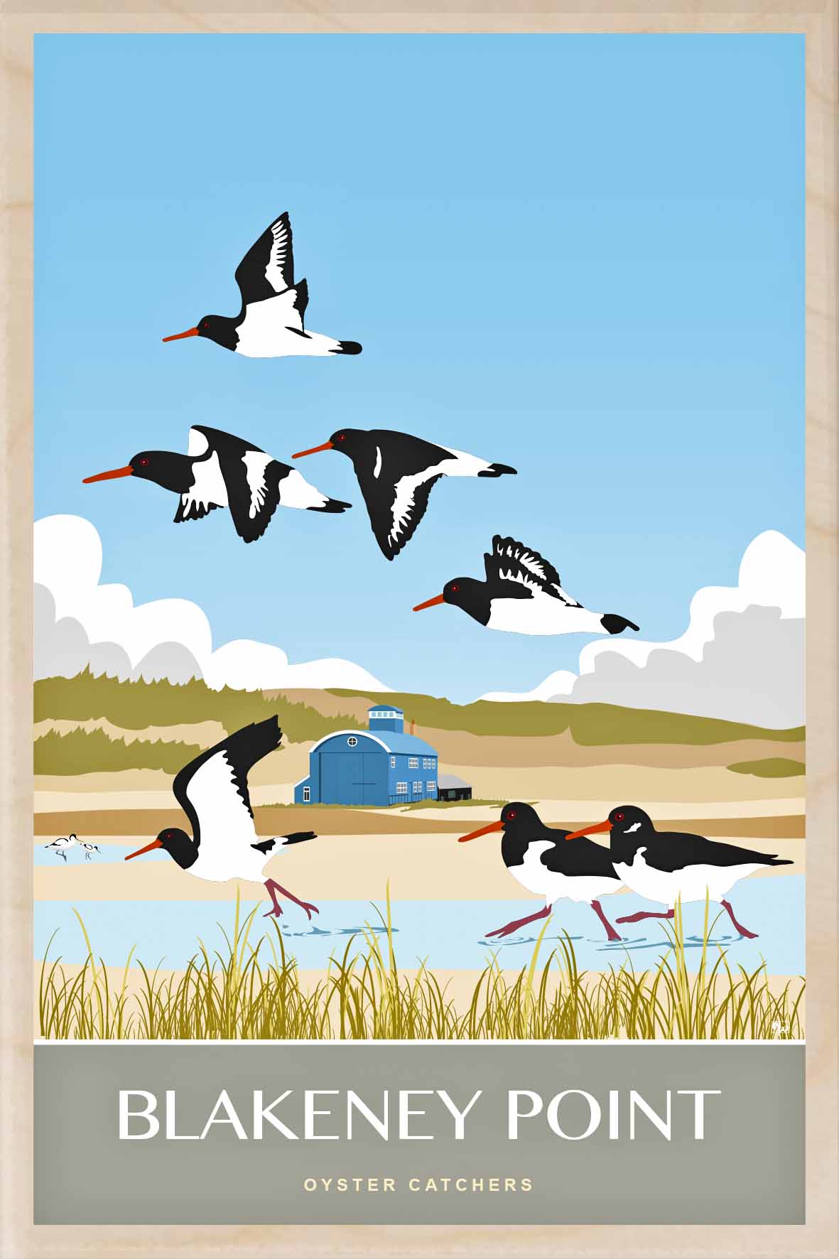 BLAKENEY OYSTERCATCHERS