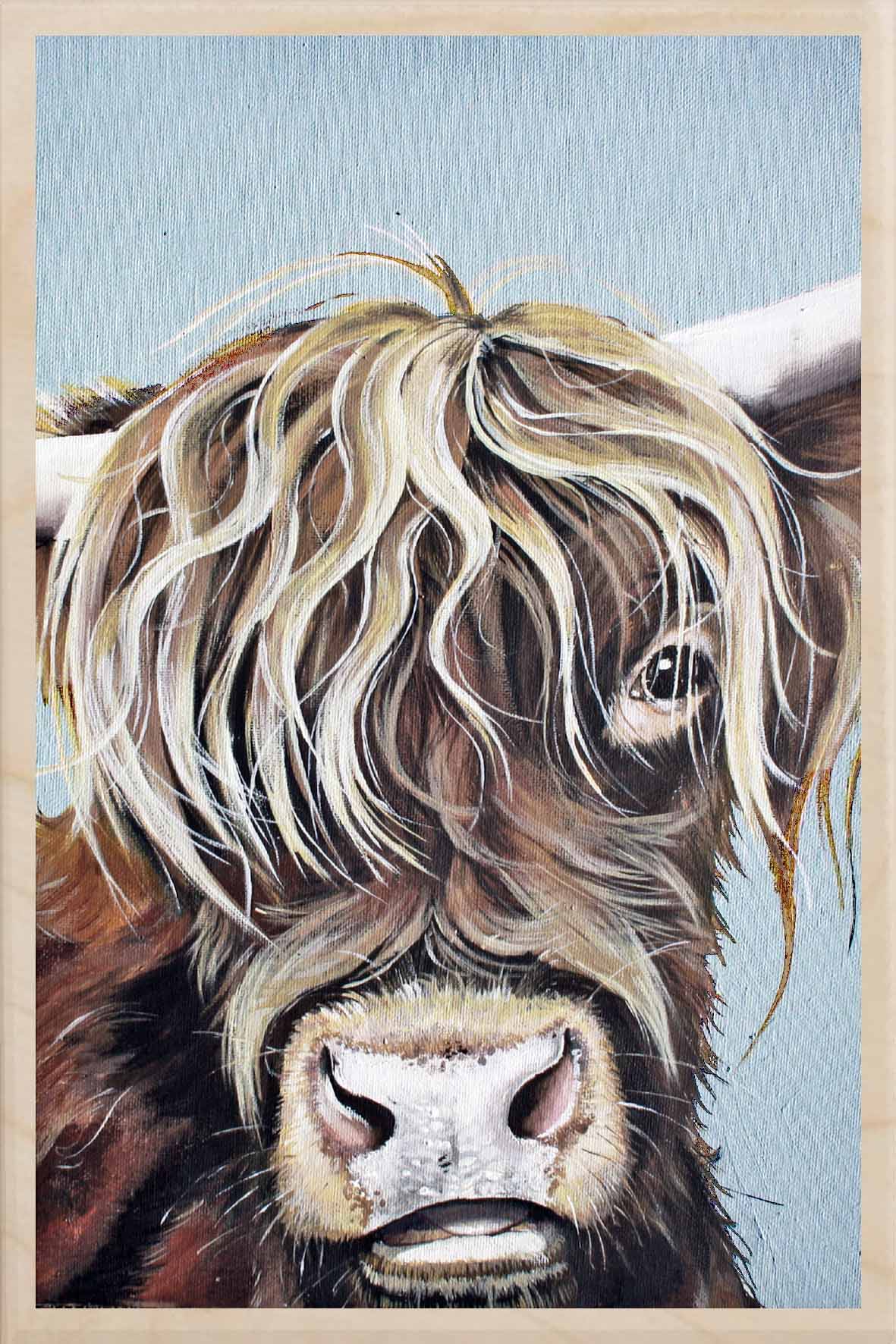 HIGHLAND COW